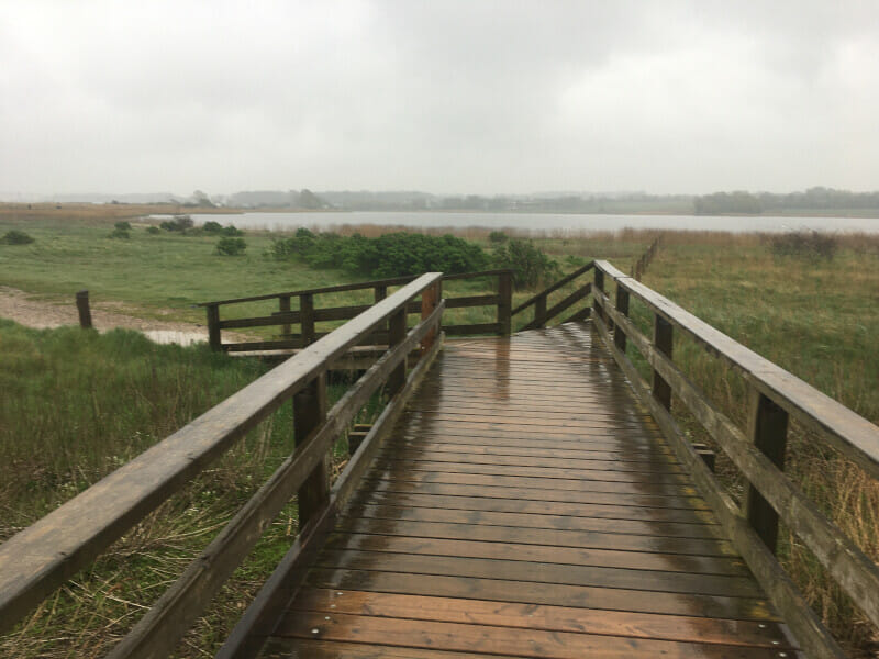 Hohwacht Treppe & Brücke aus Holz am Ostseeküstenradweg.
