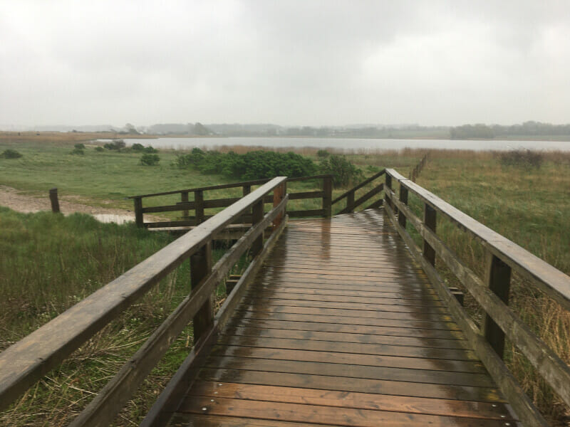 Hohwacht Treppe & Brücke aus Holz am Ostseeküstenradweg.