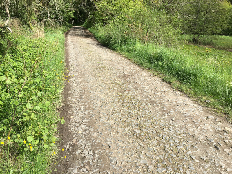 Grober holpriger Boden zwischen dem Heftrichter Moor und Schlossborn.