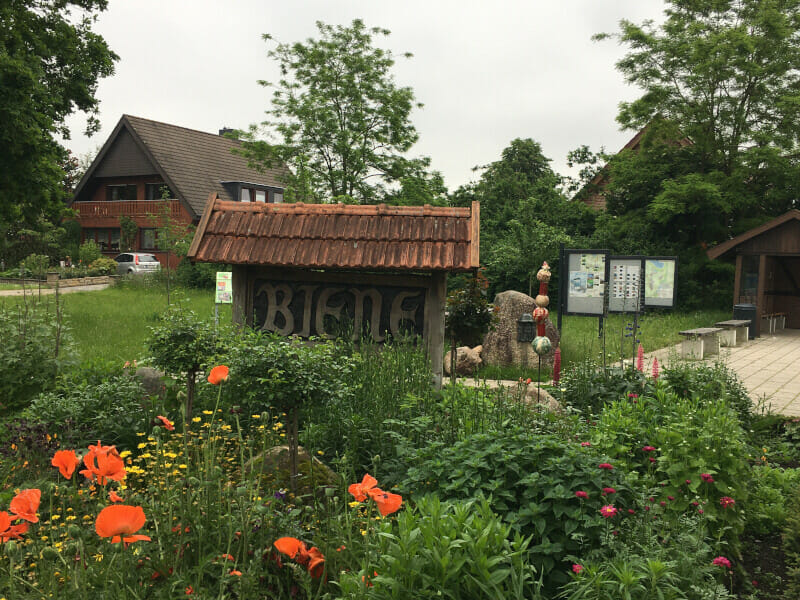 Biene in Lingen - Blumen - Emsradweg