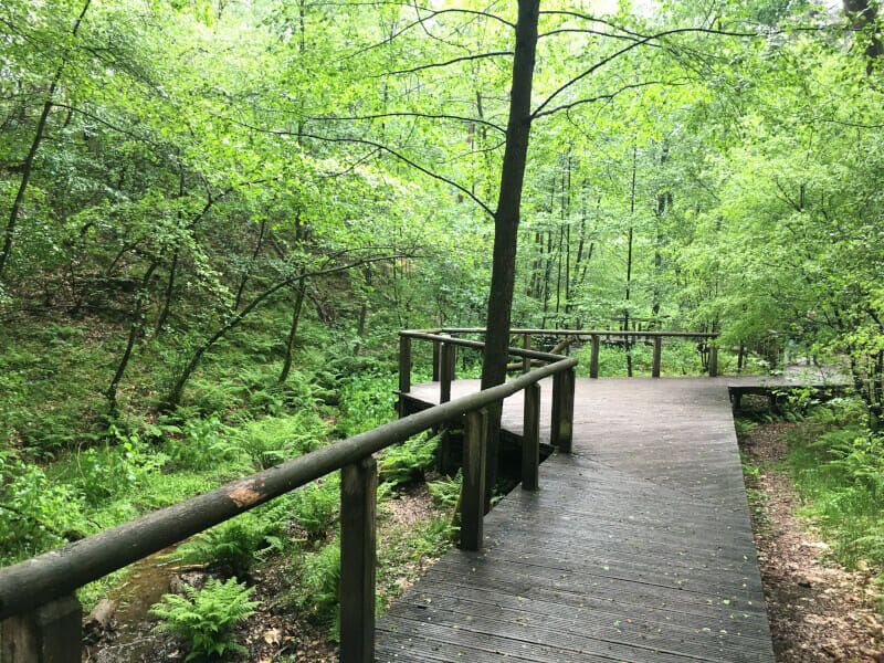 Emsquelle bei Hövelhof am Emsradweg