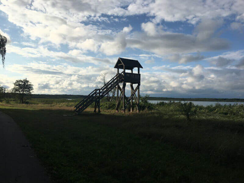 Aussichtsturm am Oderhaff - bei Luckow - Oder-Neiße-Radweg.