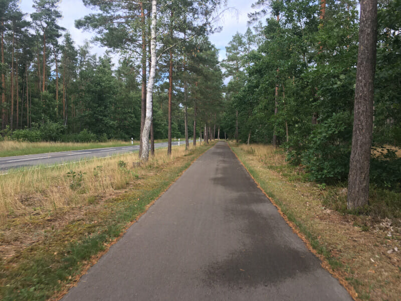 Zwischen Glashütte und Hintersee am Oder-Neiße-Radweg.