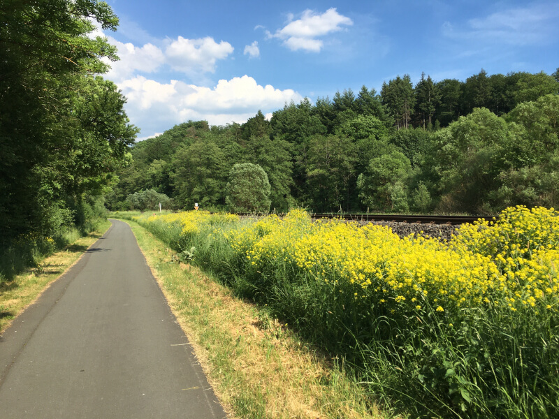 Asphaltradweg zwischen Wallau und Biedenkopf.