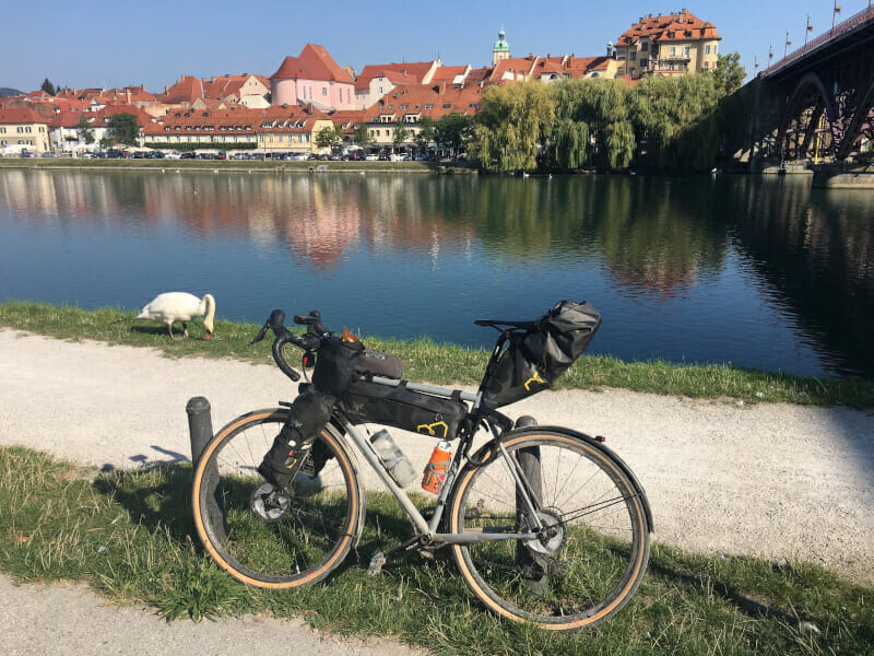 Maribor an der Drau - Wunderschön am Fluss mit Schwan & Gravelbike.