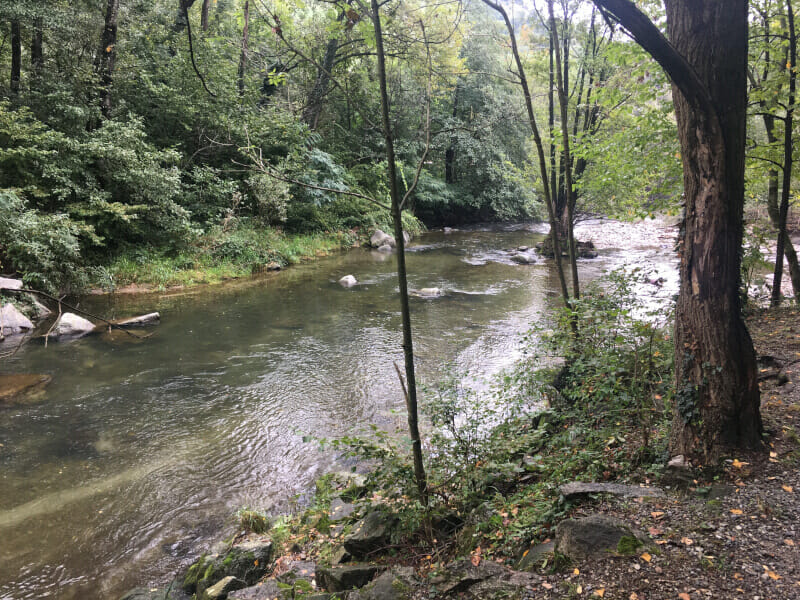 Bei Sigiron ist man direkt am Fluss Vedeggio im Wald.