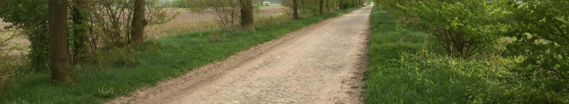 Heidenau am Hamburg-Bremen-Radweg mit Pflastersteinen versehen.