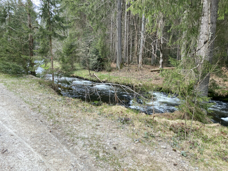Regen hinter Ludwigsthal und vor Regenhütte - Regentalradweg.