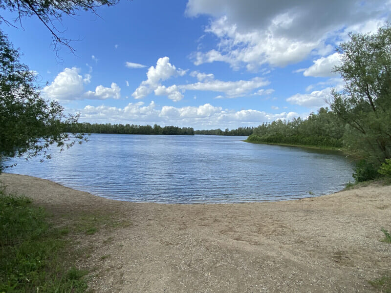Großer Koldinger See am Leine-Heide-Radweg