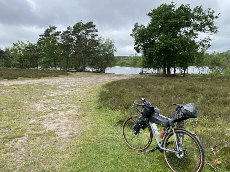 Lüneburger Heide am Leine-Heide-Radweg mit Gravelbike.