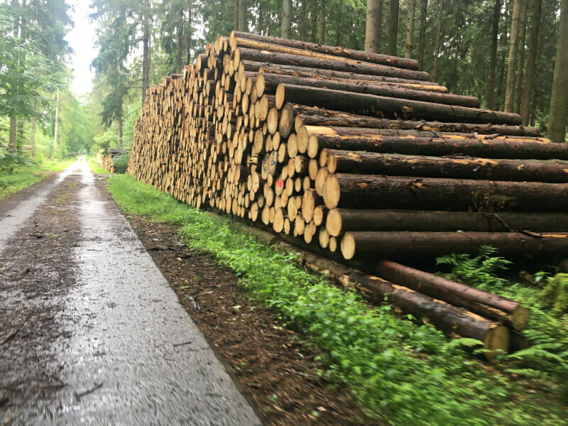 Radweg zwischen Buchholz und Rosengarten am Leine-Heide-Radweg mit Holz.