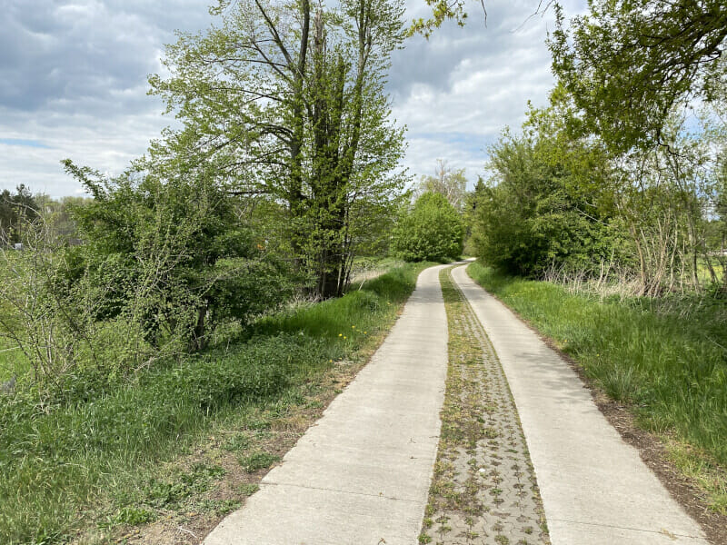 Der Elberadweg vor Walternienburg - schöne Natur.