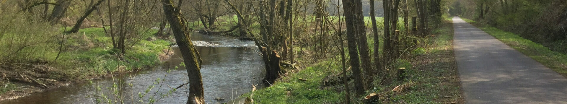 Maare-Mosel-Radweg - Zwischen Platten & Bernkastel-Kues.