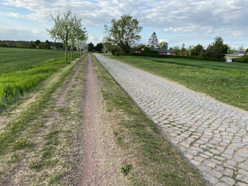 Kopfsteinpflaster und Schotterweg bei Randau-Calenberge am Elberadweg