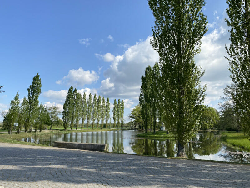 Seenlandschaft in Wörlitz am Elberadweg