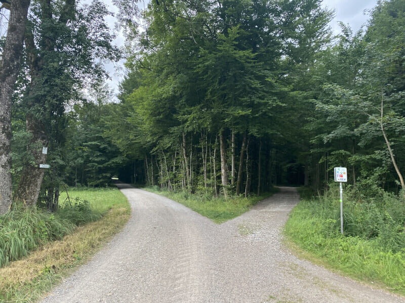 Natur hinter Augsburg - Via Claudia Augusta Radweg. Mit Wegweiser auf der rechten Seite.