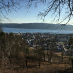 Blick auf Ludwigshafen am Bodensee - Schwäbischer-Alb-Radweg - Die letzten Meter.
