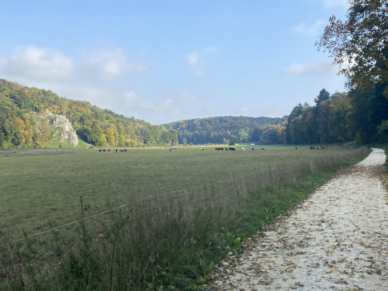 Idyllisch zwischen Anhausen und Eselsburg bei Herbrechtingen - Brenztalradweg.
