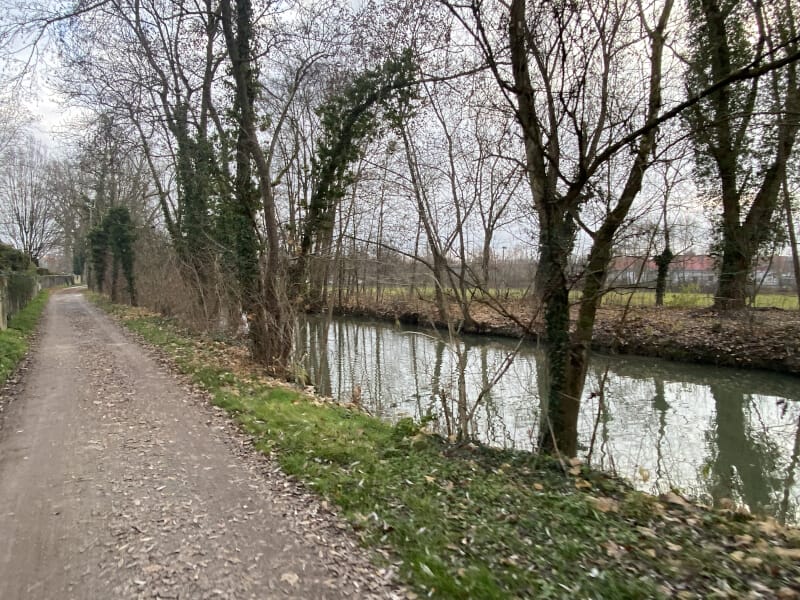 Aisch in Neustadt an der Aisch am Aischtalradweg